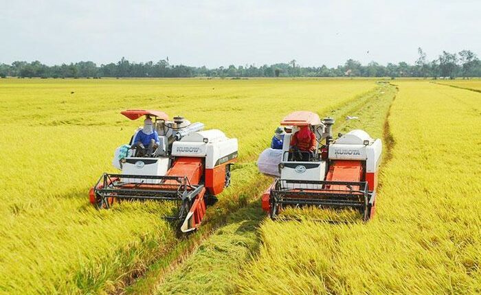 VẤN ĐỀ CHUYỂN DỊCH SỞ HỮU RUỘNG ĐẤT TÁC ĐỘNG TỚI KINH TẾ HỘ GIA ĐÌNH VÀ DỊCH CHUYỂN LAO ĐỘNG Ở ĐỒNG BẰNG SÔNG CỬU LONG (NGHIÊN CỨU TRƯỜNG HỢP TỈNH LONG AN)