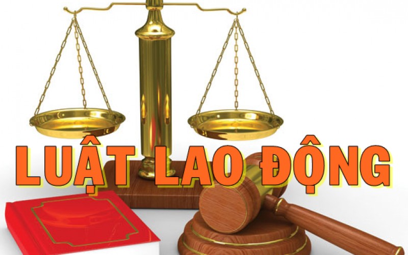 Sinh hoạt công dân cuối khóa: Bài giảng về Pháp luật lao động